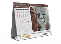 Calendários calendários